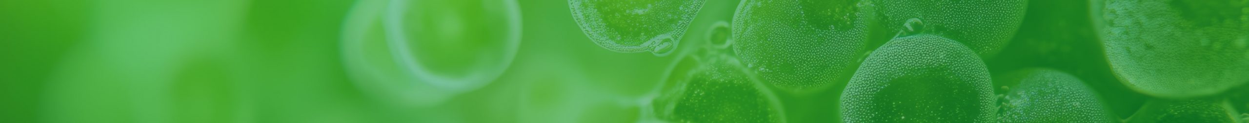 Haematococcus and Nutrient Dense Nutrientdense haematococcus algae benefits