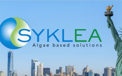 Syklea Enters the U.S. Market with a New NYC Branch and a Major CO₂ Utilization Project