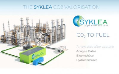 Beyond 2040: AI, Microalgae, and the Urgent Shift Toward a Bio-Based Industrial Future