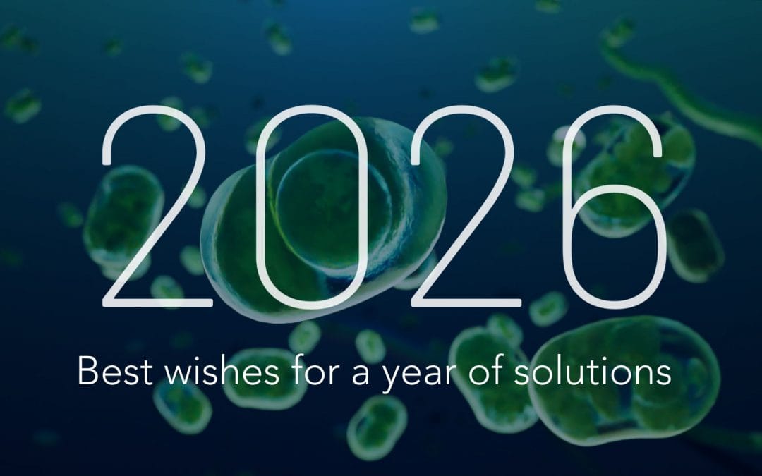 Happy New Year 2026 image with cells and text "Best wishes for a year of solutions.