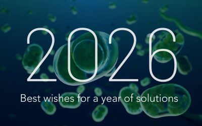 Best wishes for a year of solutions