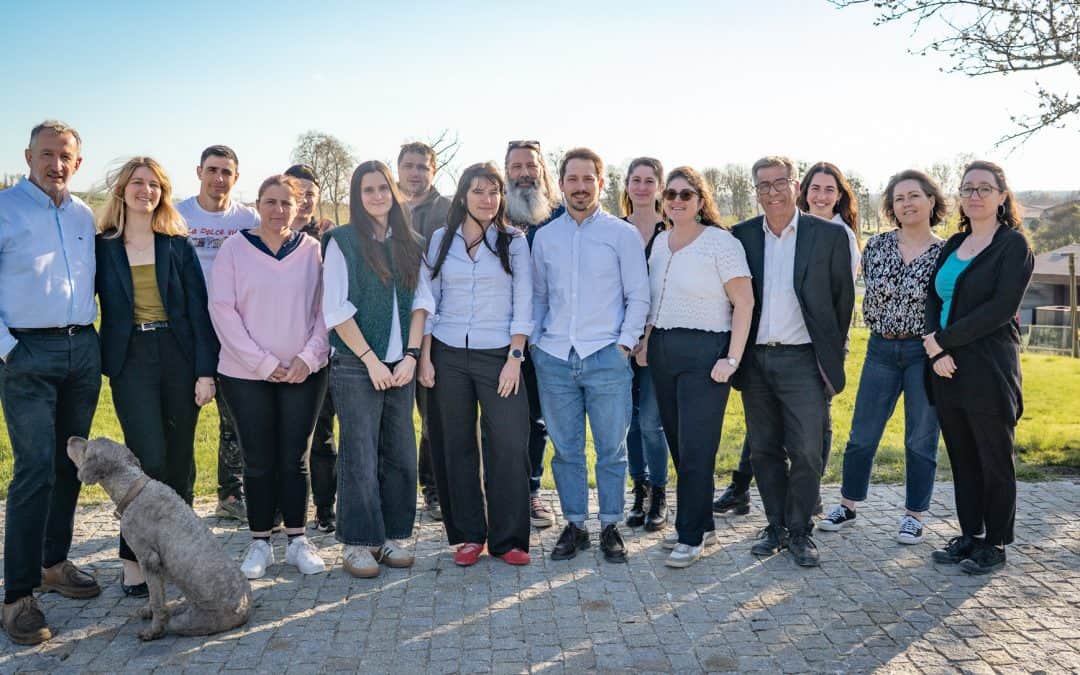 Team photo of growing company, outdoors on a sunny day. Dog included!